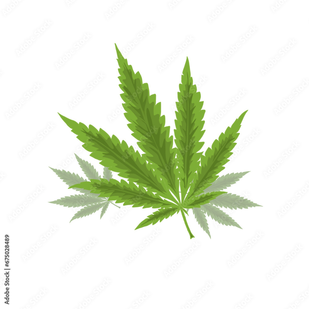 several marijuana leaves in a white circle without background several marijuana leaves in a white circle without background