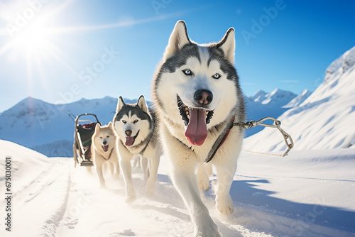 team of husky sled dogs diligently pulls a sled through the pristine and expansive Arctic mountain terrain. Shallow field of view focuses on this awe-inspiring scene. Generative AI. © Surachetsh