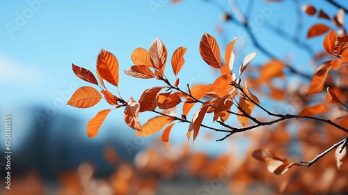 AI generated illustration of vibrant orange leafy branch in autumn