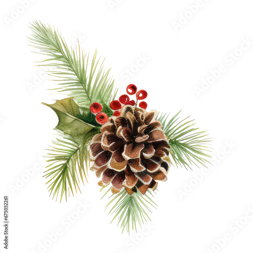 pine cones