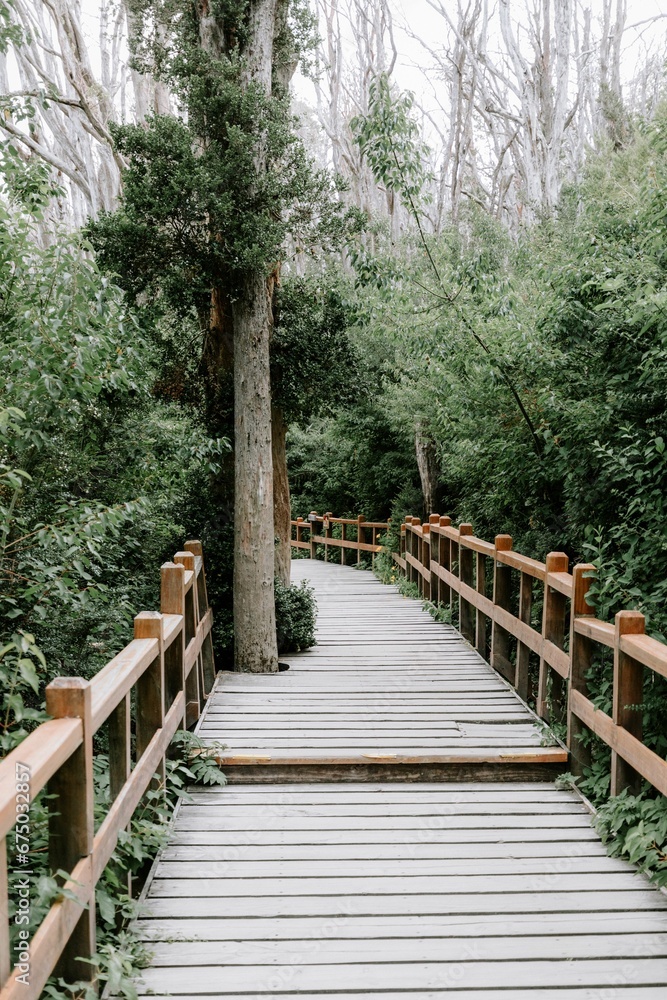 Wooden bridge spanning a lush green forest, offering a path for travelers Wooden bridge spanning a lush green forest, offering a path for travelers