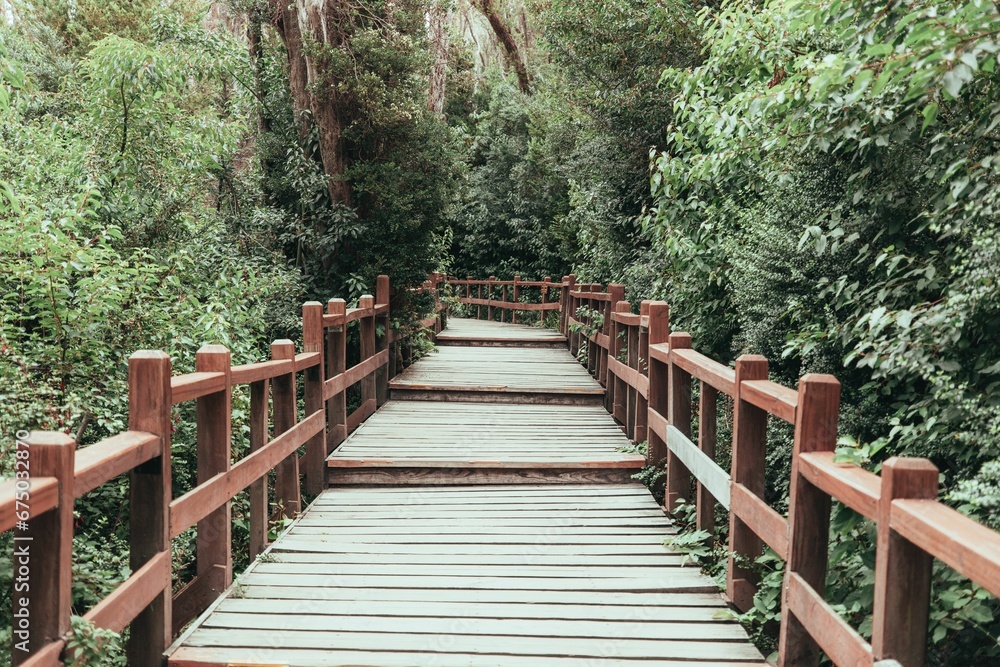 Wooden bridge spanning a lush green forest, offering a path for travelers Wooden bridge spanning a lush green forest, offering a path for travelers
