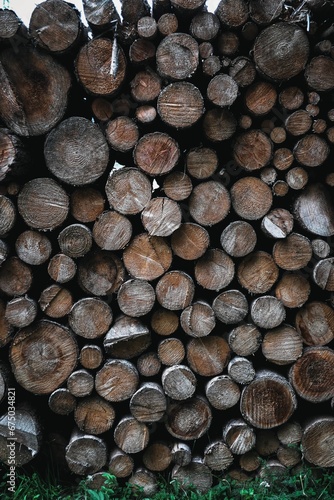 Fototapeta Naklejka Na Ścianę i Meble -  Sections of stacked tree trunks
