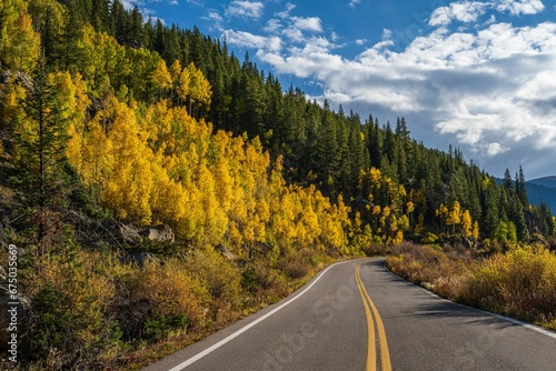 Scenic winding mountain road surrounded by vibrant yellowing trees