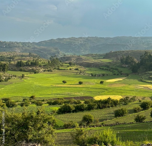 some green grass and mountains with a few bushes and trees