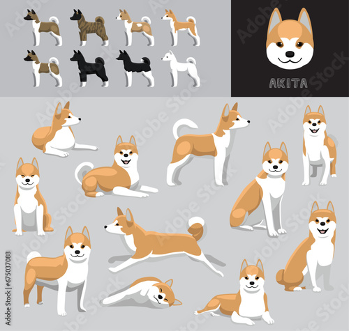 Dog Akita Fawn Coat Cartoon Vector Illustration Color Variation Set
