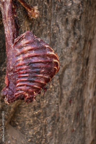 a small piece of raw meat hanging from a branch of a tree