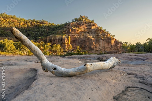 Piece of driftwood lies on the shore of a river, in front of a majestic mountain backdrop.