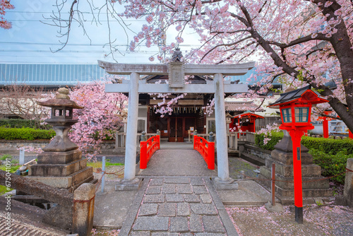 Kyoto, Japan - March 31 2023: Rokusonno shrine built in 963, enshrines MInamota no Tsunemoto the 6th grandson of Emperor Seiwa. It's one of the best cherryblossom viewing spots in Kyoto photo