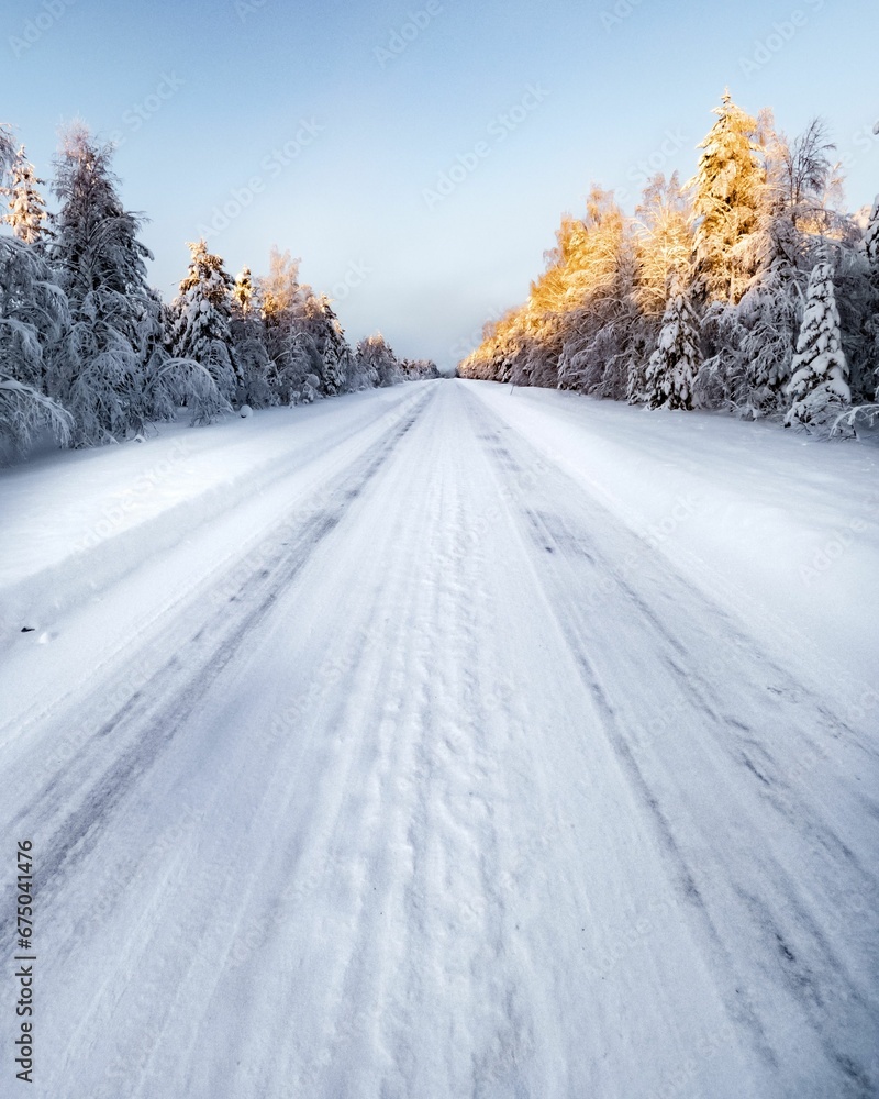 Scenic winter landscape featuring a snow and ice covered road winding amongst towering trees Scenic winter landscape featuring a snow and ice covered road winding amongst towering trees