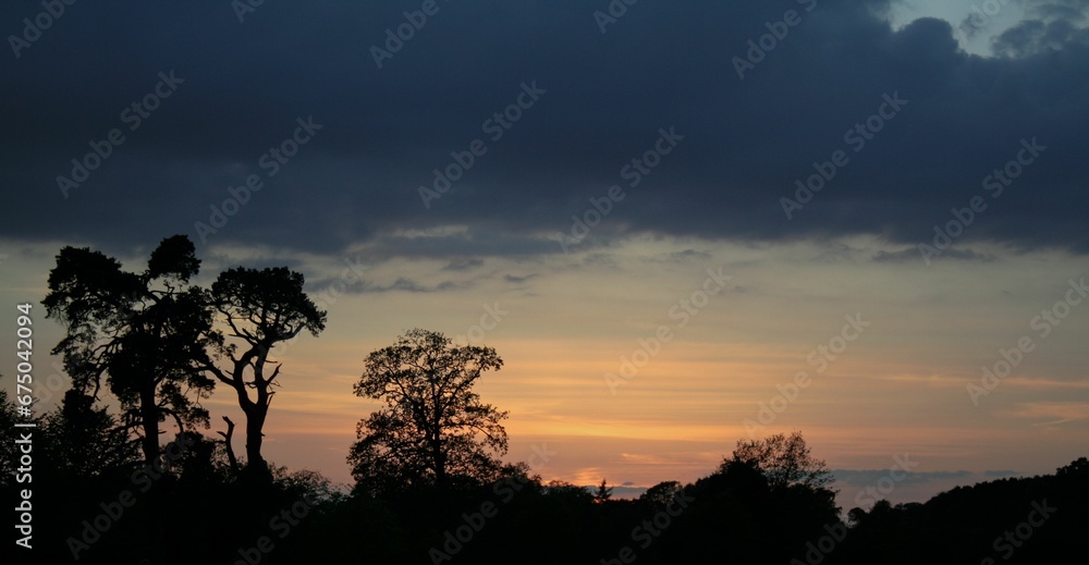 Stunning dark sky at sunset with silhouettes of trees in the foreground.