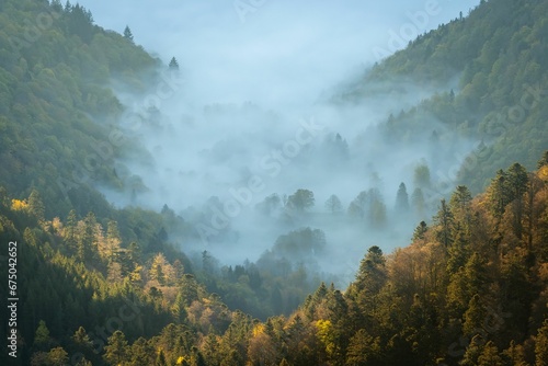 Majestic mountain shrouded in fog, with a lush covering of trees dotting its slopes © Wirestock