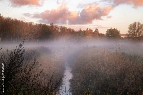 Fototapeta Naklejka Na Ścianę i Meble -  Beautiful shot of a layer of mist floating over a serene pond in a forest at sunset