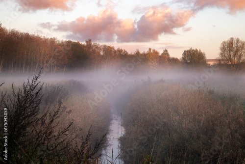 Beautiful shot of a layer of mist floating over a serene pond in a forest at sunset