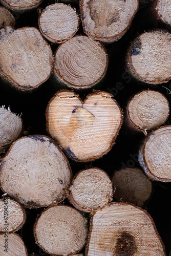 Top view of a pile of firewood logs cut into a heart shape
