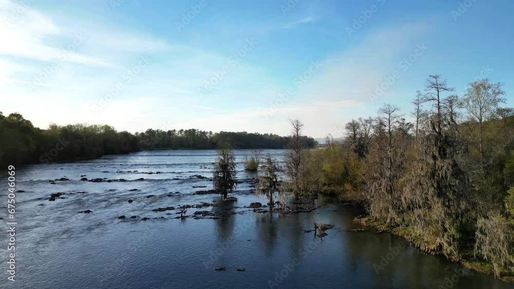 Pristine cinematic drone video of savannah river at sunset with forest pine trees and spanish moss Pristine cinematic drone video of savannah river at sunset with forest pine trees and spanish moss