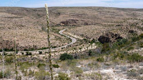 Image depicts Carlsbad Caverns National Park in Carlsbad, New Mexico photo