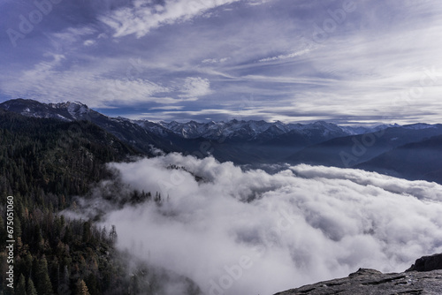 Scenic view of trees and mountains above the clouds