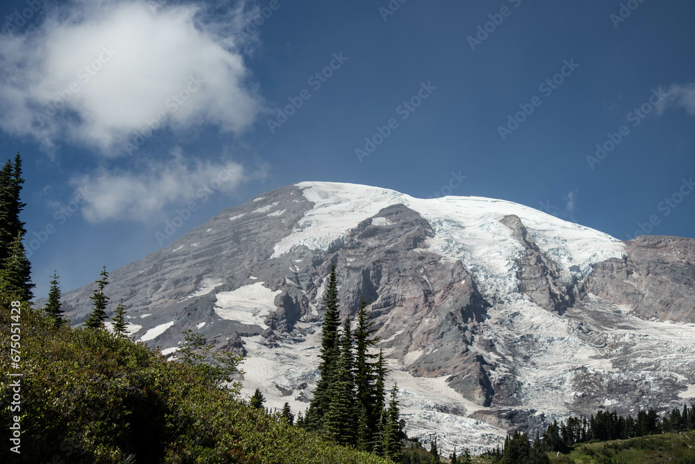 Scenic landscape featuring a tall, snow-covered mountain and evergreen pine trees in the foreground