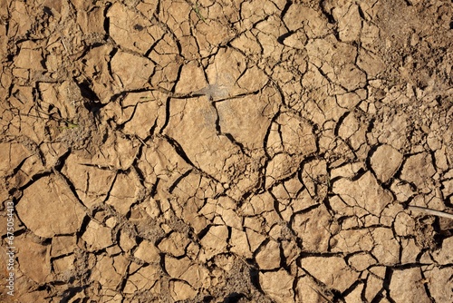 Closeup shot of arid dry cracked mud and soil earth texture background