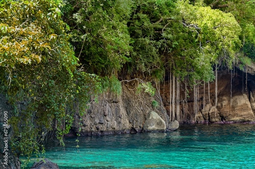 Tranquil bay surrounded by lush green trees and a rocky cave