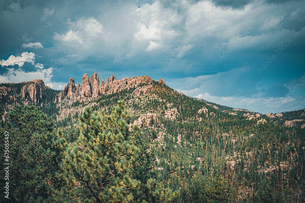 Fototapeta premium the rocky mountains covered in pine trees under a cloudy sky