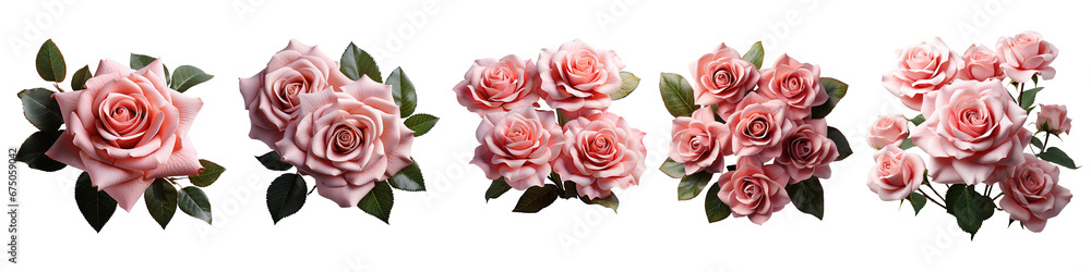 Set of bouquet pink roses bunch roses flower plant with leaves isolated on transparent background. cutout, PNG file. Valentine's day-wedding. Mock up template product presentation. artwork design.