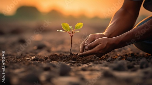 Person planting a tiny sapling in a barren landscape, AI-generated. photo