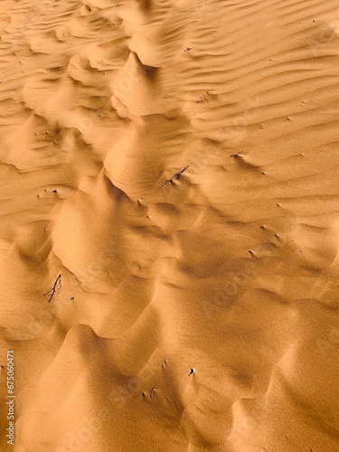 Vertical shot of a light brown desert with sand dunes
