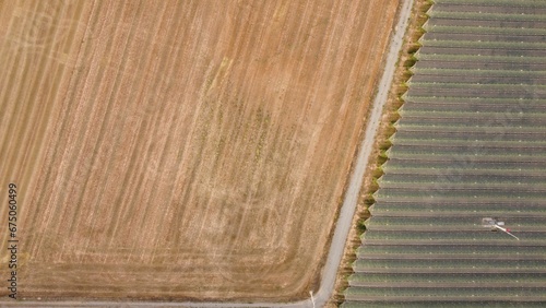 View of an agricultural landscape with multiple crops growing