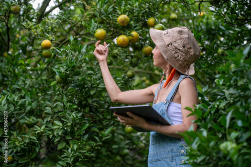 Happy woman farmer smiling in the gardenl under checking gardening organic orange tree plant garden and harvesting ripe orange crop by taplet computor is  agriculture harvesting smart farm concept.  photo