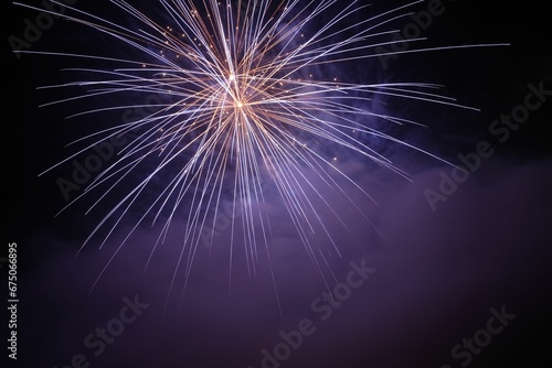Photography Purple and orange fireworks on the Fourth of July in the night sky