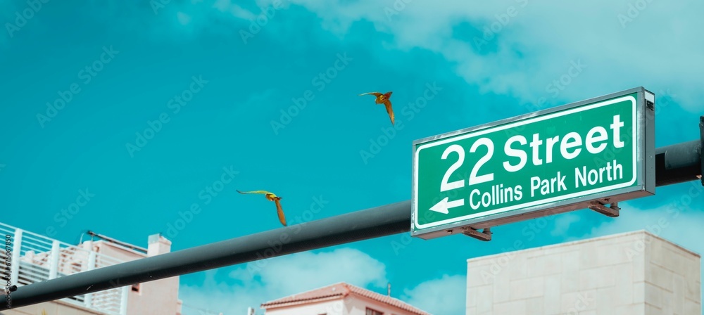 Φωτογραφία Birds flying over the green sign of 22 Street pointing to the Collins Park North