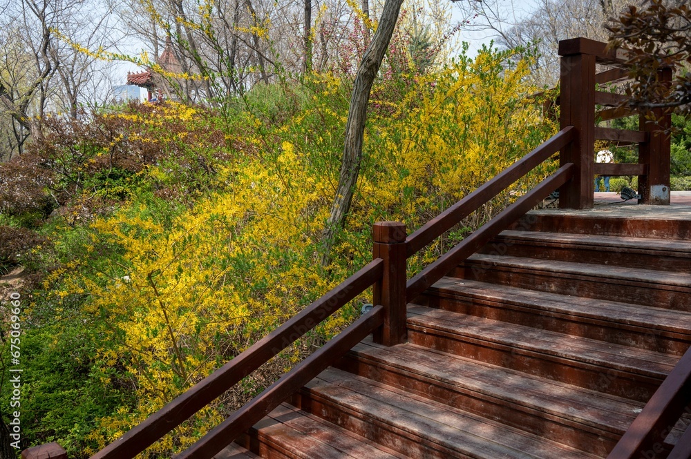 Park staircase, with lush green grass and a few trees in the background Park staircase, with lush green grass and a few trees in the background