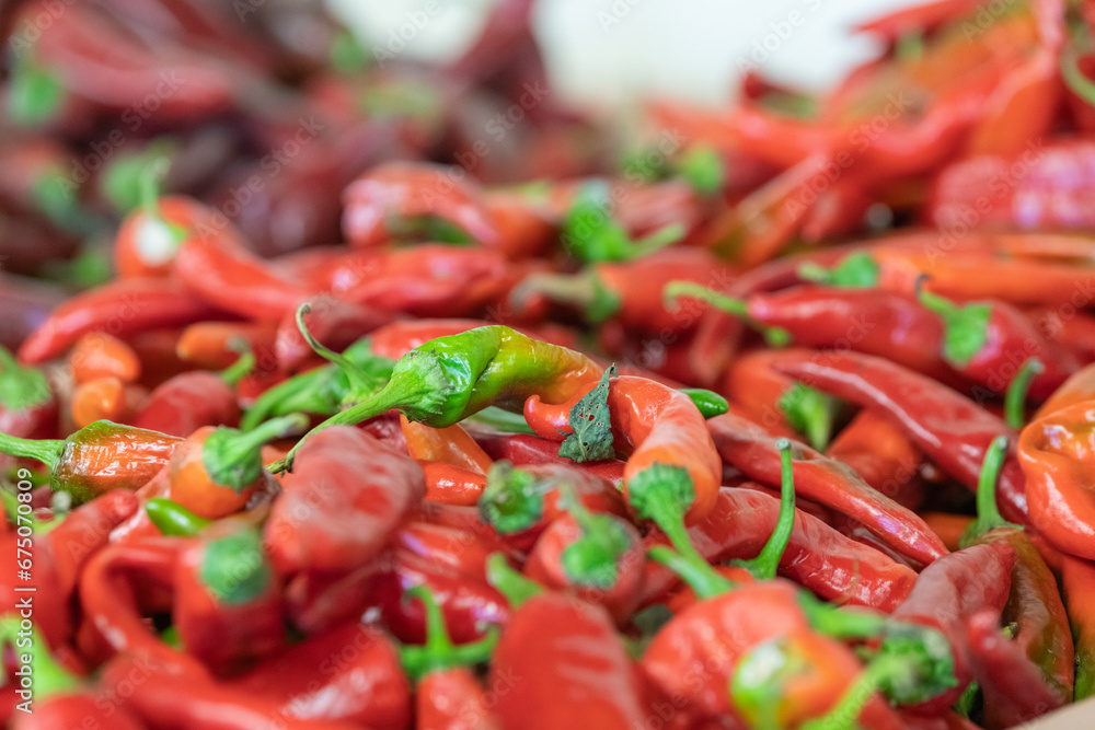 Close up of bushels of ripe red chili peppers with green stems and a blurred background. Close up of bushels of ripe red chili peppers with green stems and a blurred background.