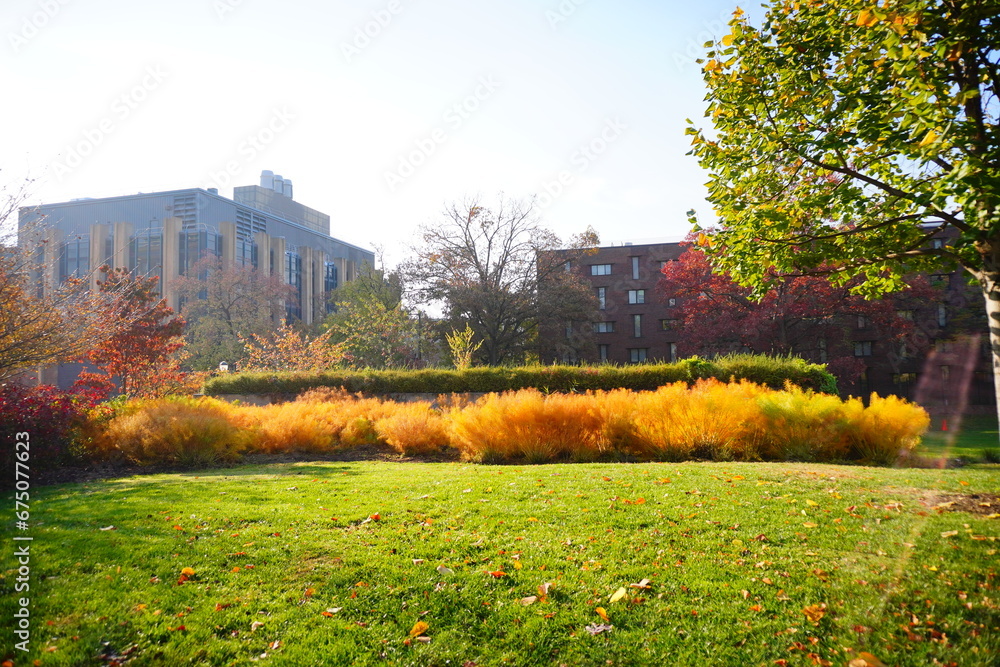 Fototapeta premium University of Pennsylvania Fall colorful foliage autumn landscape