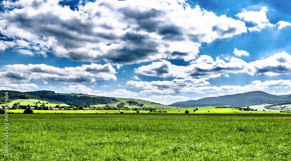 Obraz premium Meadow with wildflowers in the Carpathian mountains, Poland.