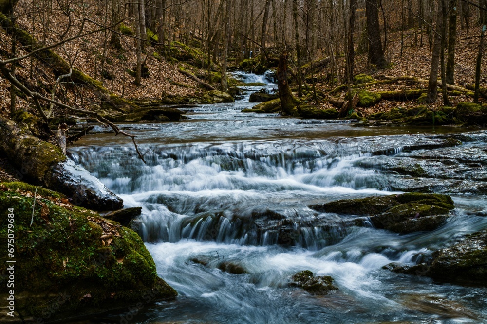 Tranquil stream meanders through the lush landscape of a dense forest. Tranquil stream meanders through the lush landscape of a dense forest.
