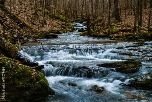 Fototapeta Naklejka Na Ścianę i Meble -  Tranquil stream meanders through the lush landscape of a dense forest.
