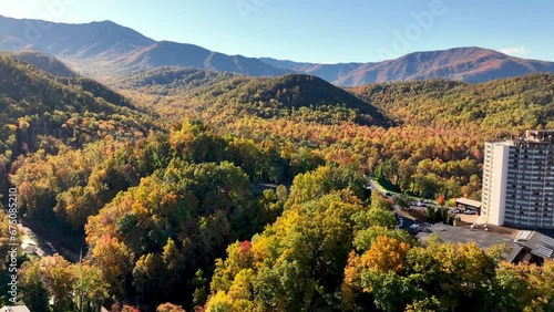 beautiful fall leaves in mountains surrounding gatlinburg tennessee, great smoky mountains photo