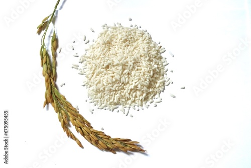 White background with rice grains.