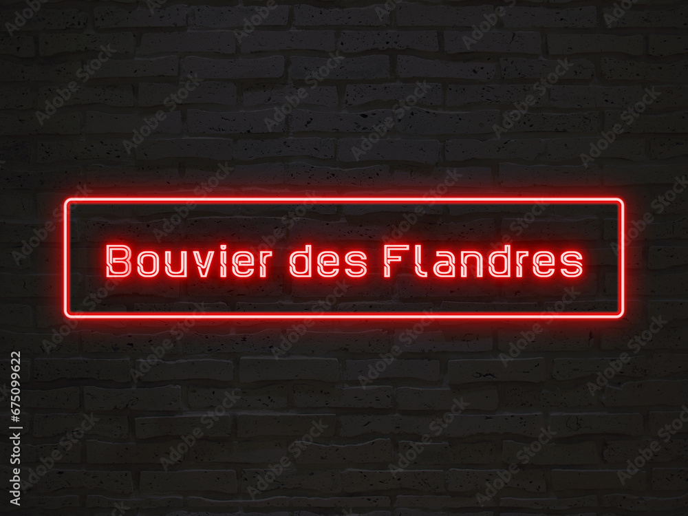 Bouvier des Flandres のネオン文字