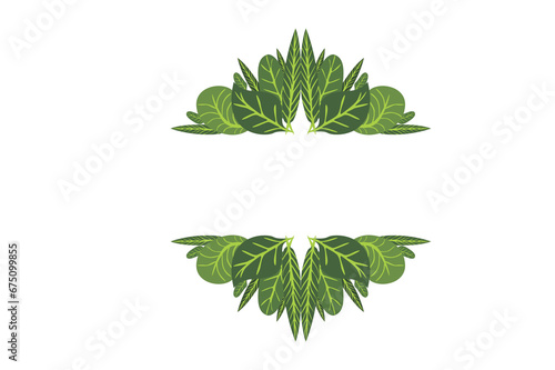 Flora Ornament Border With Design With Transparent Background