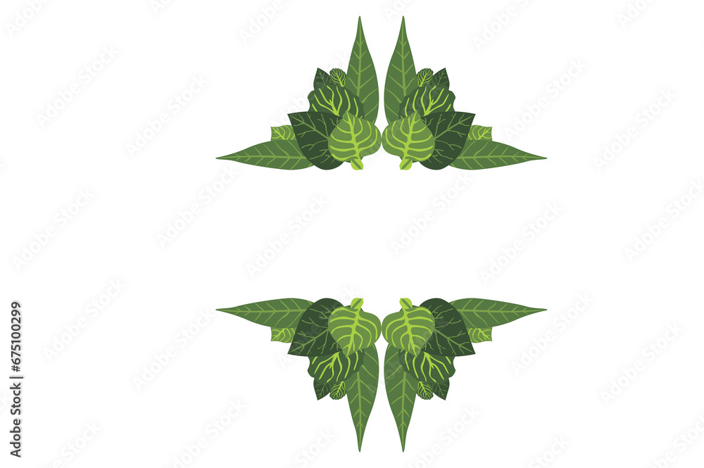 Flora Ornament Border With Design With Transparent Background