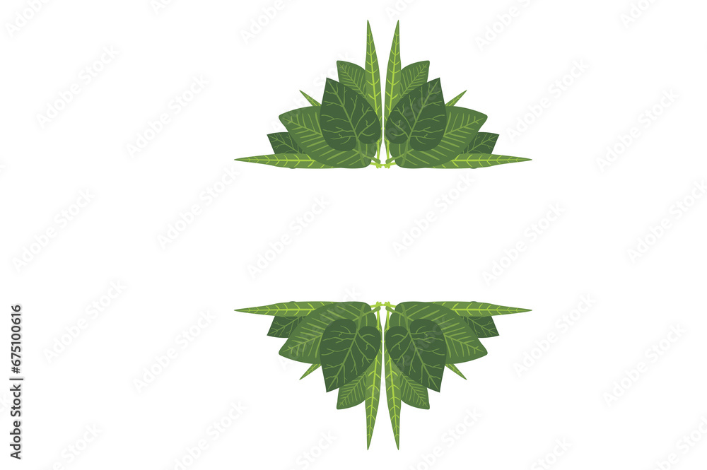 Flora Ornament Border With Design With Transparent Background Flora Ornament Border With Design With Transparent Background
