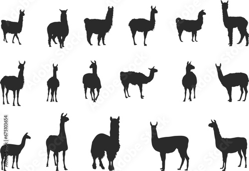 Lama silhouettes, Llama silhouette, Lama svg, Llama svg, Lama animal silhouette