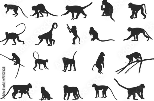 Monkey silhouettes  Monkey silhouette collection  Sitting monkey silhouette  Monkey svg  Monkey clipart  Monkey vector illustration