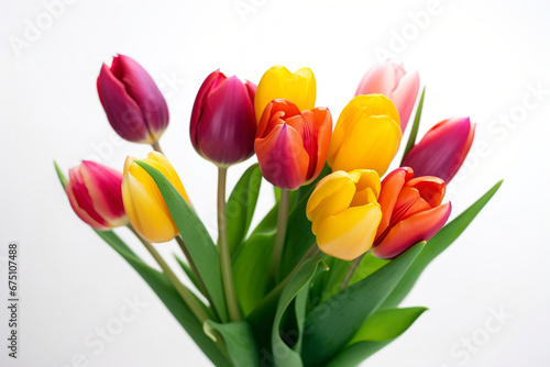 Colorful tulips are isolated against a white background. (Generative AI)