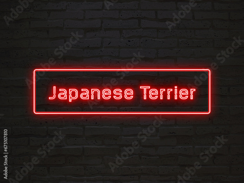 Japanese Terrier のネオン文字