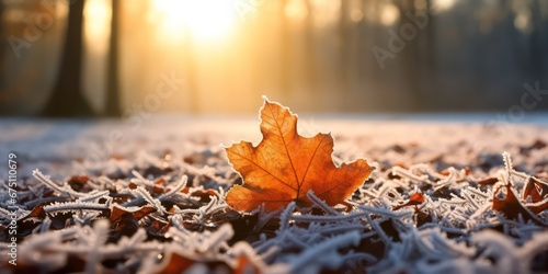 Beautiful light nature with bright leaves covered with frost ice melt in late winter or early summer water drops after ice melt.